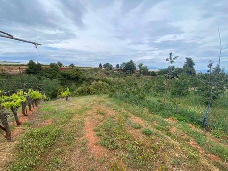 Parcel 3.710sqm for sale-Sikiona » Souli