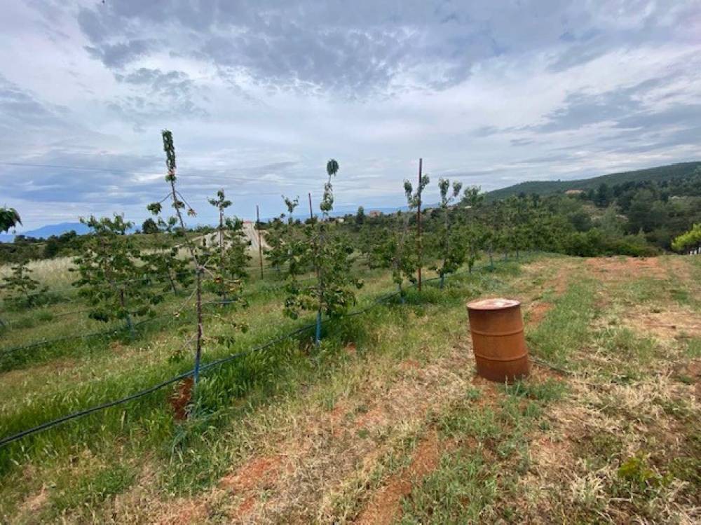 Αγροτεμάχια 3.710 τ.μ. πρός πώληση, Κορινθία, Σικυώνα