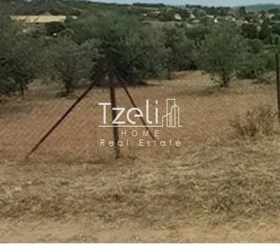 Αγροτεμάχια 408τ.μ. για πώληση-Κ. νέων παλατίων » Νέα παλάτια