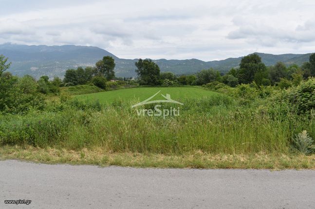 Άλλο 9.080 τ.μ. για πώληση, Ν. Ιωαννίνων, Παμβωτίδα