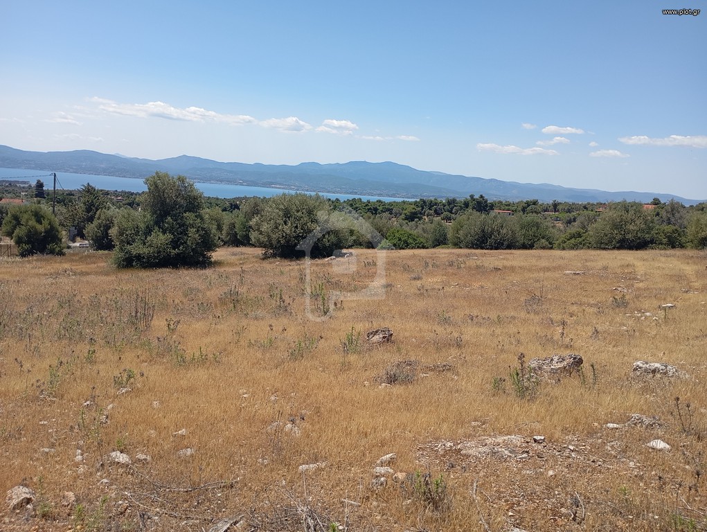 Οικόπεδο 10.000 τ.μ. προς πώληση, Μαλακώντα