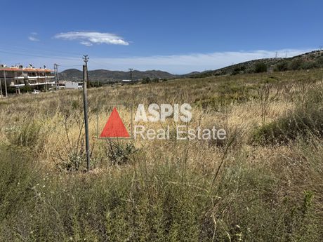 Οικόπεδο 1.000 τ.μ. για πώληση