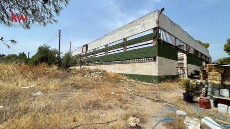 Business bulding 2.000sqm for sale-Agioi Theodoroi