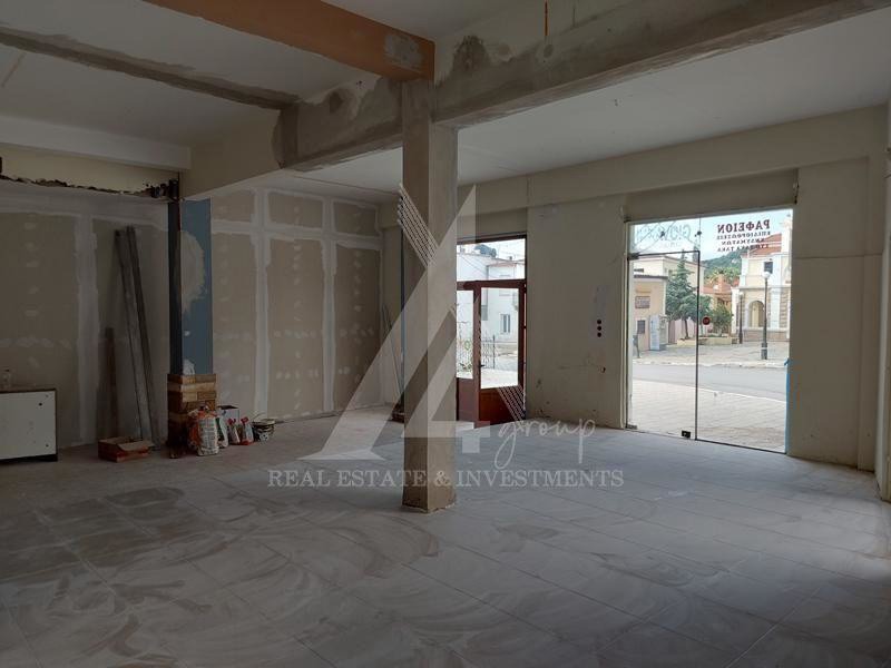 Κατάστημα 74 τ.μ. προς ενοικίαση, Αιδηψός