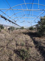 Αγροτεμάχιο Θερμοκήπιο