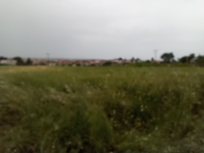 Αγροτεμάχια 8.565 τ.μ. πρός πώληση, Θεσσαλονίκη - Περιφ/Κοί Δήμοι, Καλλιθέα