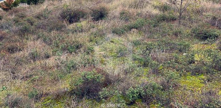 Οικόπεδο 375 τ.μ. για πώληση, Νησιά Αργοσαρωνικού, Αίγινα