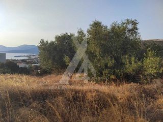 Αγροτεμάχια 537 τ.μ. για πώληση, Εύβοια, Μαρμάρι-thumb-5