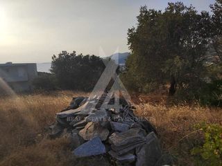 Αγροτεμάχια 537 τ.μ. για πώληση, Εύβοια, Μαρμάρι-thumb-6