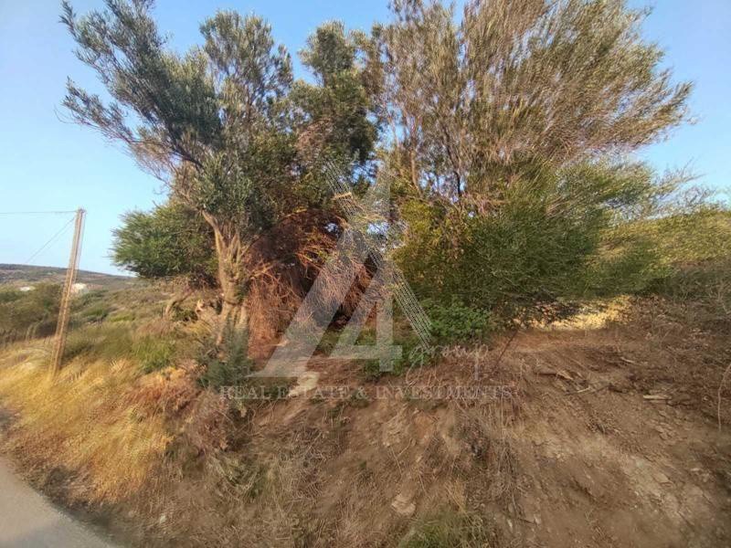 Αγροτεμάχια 537 τ.μ. για πώληση, Εύβοια, Μαρμάρι