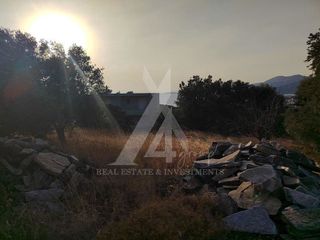 Αγροτεμάχια 537 τ.μ. για πώληση, Εύβοια, Μαρμάρι-thumb-8