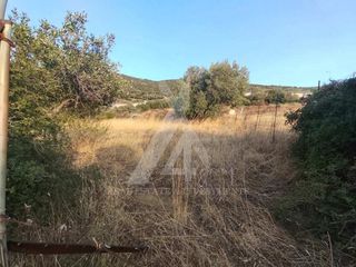 Αγροτεμάχια 537 τ.μ. για πώληση, Εύβοια, Μαρμάρι-thumb-7