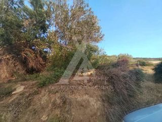 Αγροτεμάχια 537 τ.μ. για πώληση, Εύβοια, Μαρμάρι-thumb-2