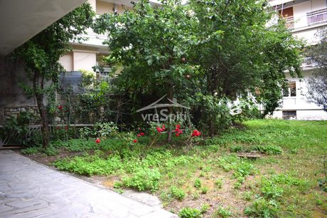 Studio 35 sqm for rent