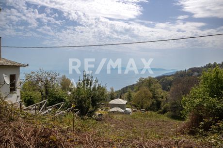 Detached home 200sqm for sale-Mouresi » Tsagkarada