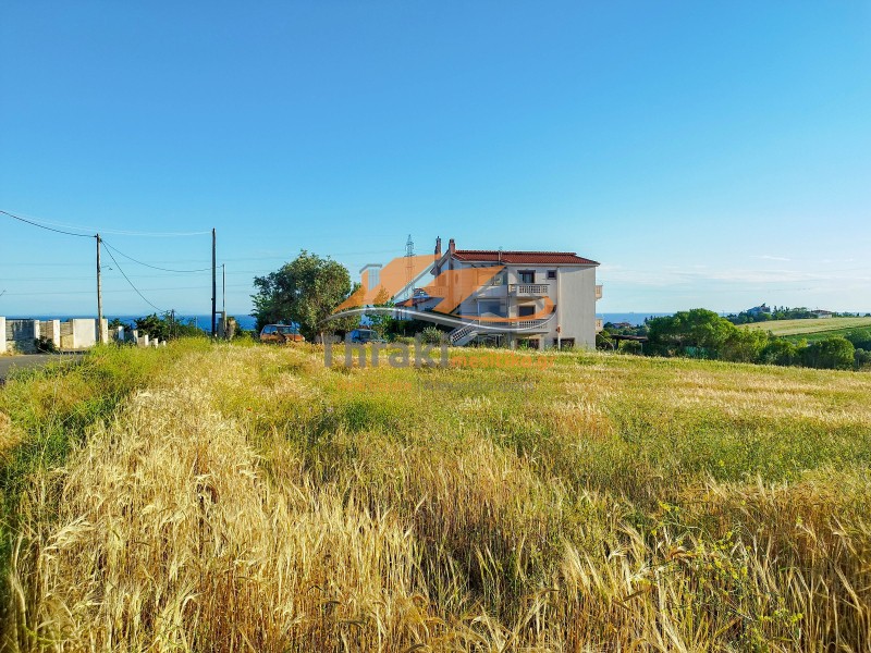 Αγροτεμάχια 4.000 τ.μ. προς πώληση, Νέα Χιλή