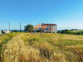 Αγροτεμάχια 4.000 τ.μ. για πώληση