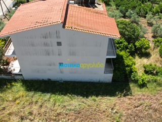 Μονοκατοικία 337 τ.μ. για πώληση, Αργολίδα, Μυκήνες-thumb-7