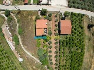 Μονοκατοικία 337 τ.μ. για πώληση, Αργολίδα, Μυκήνες-thumb-2