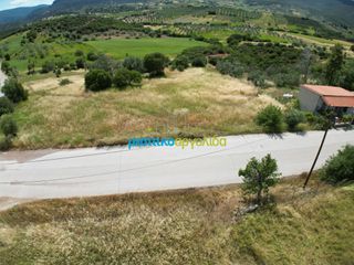 Οικόπεδο 1.692,80 τ.μ. για πώληση, Αργολίδα, Επίδαυρος-thumb-22