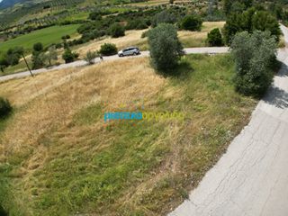 Οικόπεδο 1.692,80 τ.μ. για πώληση, Αργολίδα, Επίδαυρος-thumb-9
