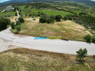 Οικόπεδο 1.692,80 τ.μ. για πώληση, Αργολίδα, Επίδαυρος-thumb-23