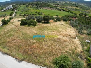 Οικόπεδο 1.692,80 τ.μ. για πώληση, Αργολίδα, Επίδαυρος-thumb-17