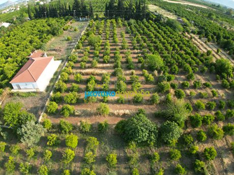 Οικόπεδο 3.907,85τ.μ. για πώληση-Άργος
