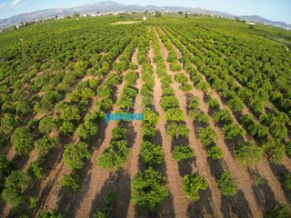 Αγροτεμάχια 8.933,40 τ.μ. για πώληση, Αργολίδα, Άργος-thumb-8