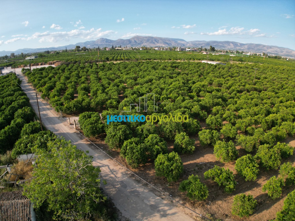 Parcel 8.933,40 sqm for sale, Argos