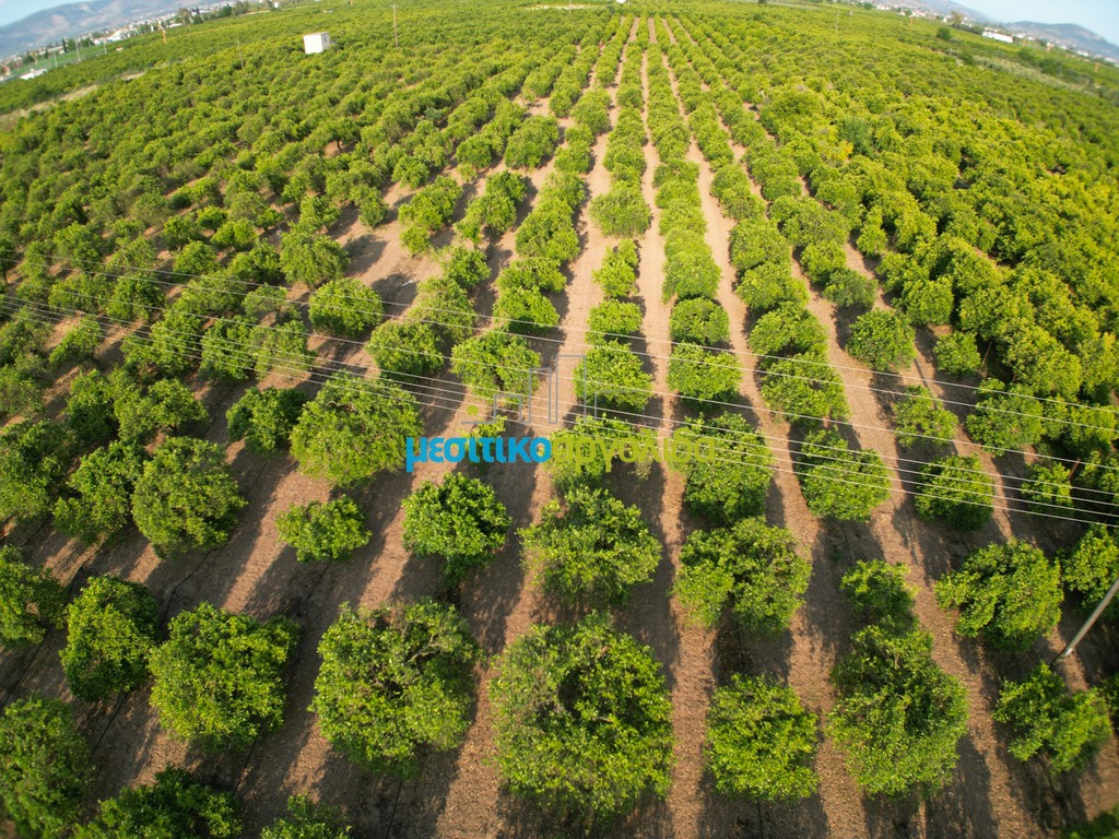 Parcel 8.933,40 sqm for sale, Argos