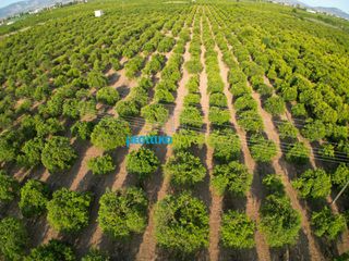 Αγροτεμάχια 8.933,40 τ.μ. για πώληση, Αργολίδα, Άργος-thumb-4