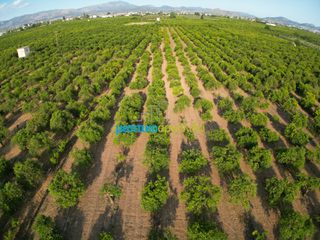 Αγροτεμάχια 8.933,40 τ.μ. για πώληση, Αργολίδα, Άργος-thumb-7