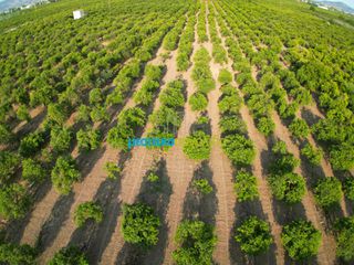 Αγροτεμάχια 8.933,40 τ.μ. για πώληση, Αργολίδα, Άργος-thumb-6