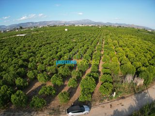 Αγροτεμάχια 8.933,40 τ.μ. για πώληση