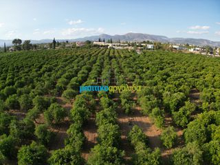 Αγροτεμάχια 8.615,04 τ.μ. για πώληση, Αργολίδα, Άργος-thumb-7