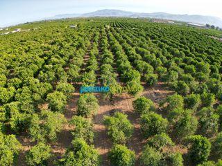 Αγροτεμάχια 8.615,04 τ.μ. για πώληση, Αργολίδα, Άργος-thumb-12