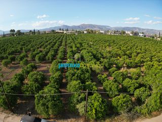 Αγροτεμάχια 8.615,04 τ.μ. για πώληση, Αργολίδα, Άργος-thumb-2