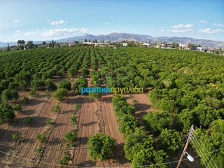 Αγροτεμάχια 8.615,04 τ.μ. για πώληση, Αργολίδα, Άργος-thumb-5