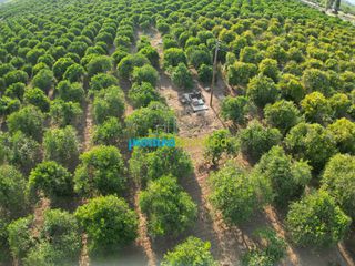 Αγροτεμάχια 8.615,04 τ.μ. για πώληση, Αργολίδα, Άργος-thumb-10
