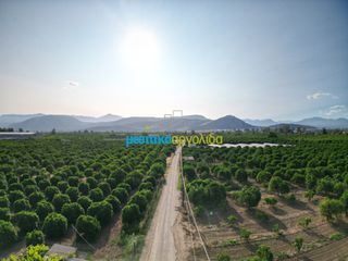 Αγροτεμάχια 8.615,04 τ.μ. για πώληση, Αργολίδα, Άργος-thumb-1