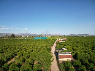 Αγροτεμάχια 8.615,04 τ.μ. για πώληση