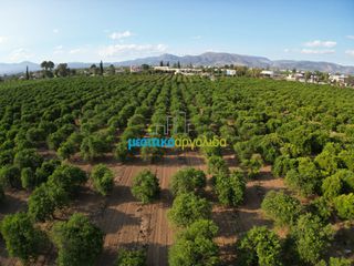Αγροτεμάχια 8.615,04 τ.μ. για πώληση, Αργολίδα, Άργος-thumb-6