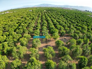 Αγροτεμάχια 8.615,04 τ.μ. για πώληση, Αργολίδα, Άργος-thumb-11