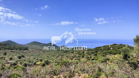 Οικόπεδο 3.000τ.μ. για πώληση-Αβία » Καλιαναίικα