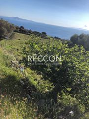 Οικόπεδο 4.884 τ.μ. για πώληση, Κυκλάδες, Άνδρος-thumb-1