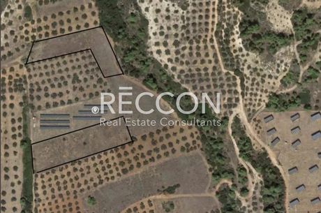 Αγροτεμάχια 9.000τ.μ. για πώληση-Σαρωνικός » Αθίκια