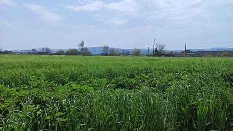 Parcel 4.810sqm for sale-Thermi » Center Of Thermi