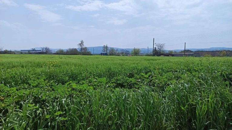 Αγροτεμάχια 4.810 τ.μ. για πώληση, Θεσσαλονίκη - Περιφ/Κοί Δήμοι, Θέρμη