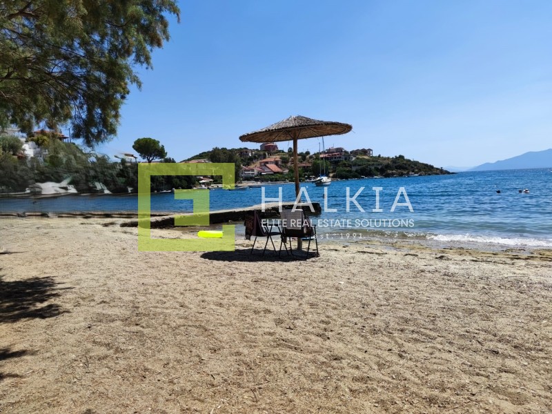 Οικόπεδο 703 τ.μ. πρός πώληση, Μαγνησία, Νέα Αγχίαλος
